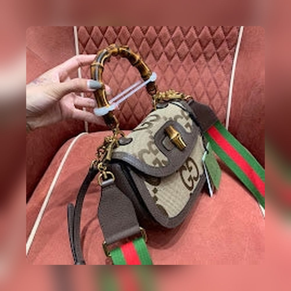 new-designer-premium-bags-nm8316