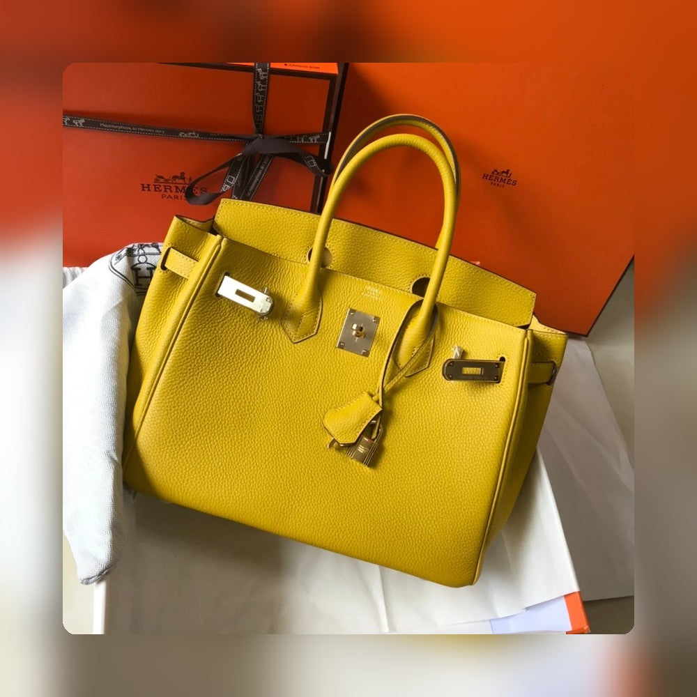 new-designer-premium-bags-nm23180