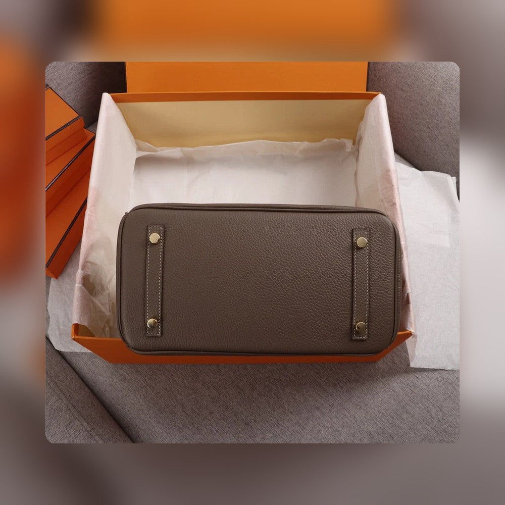 new-luxury-designer-bags-nm23601