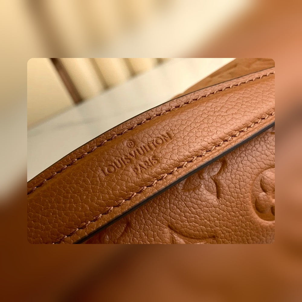 Anum Bags ln Luxury Bag --56833