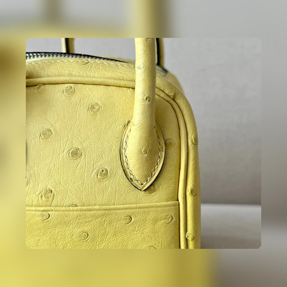 new-luxury-designer-bags-nm23885