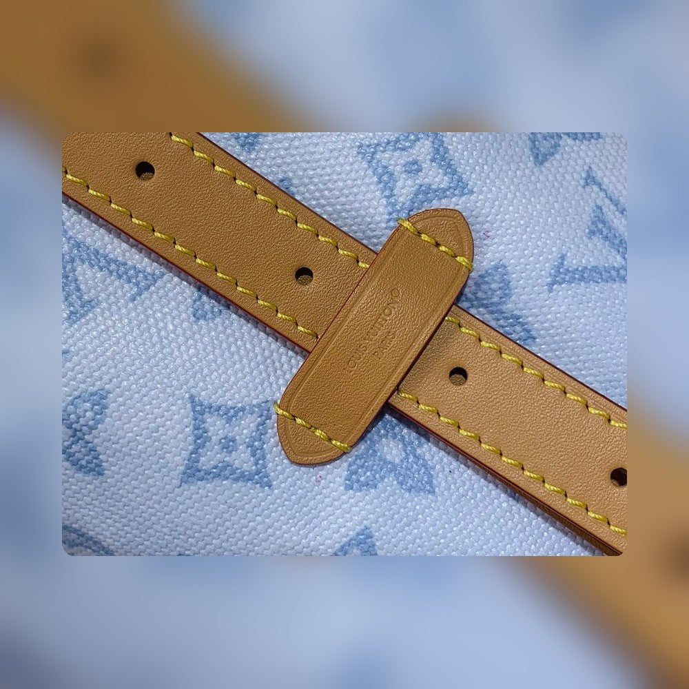 Anum Bags LV Luxury Bag --55936