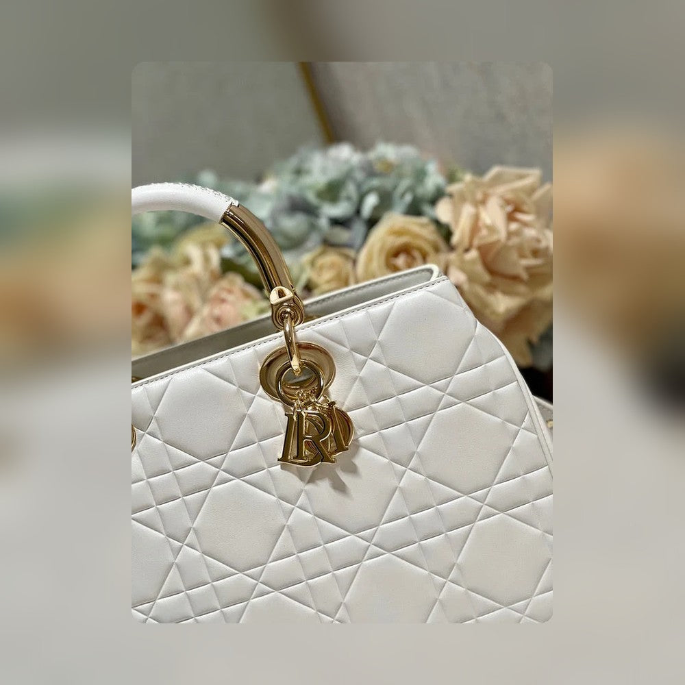 Anum Bags Detail