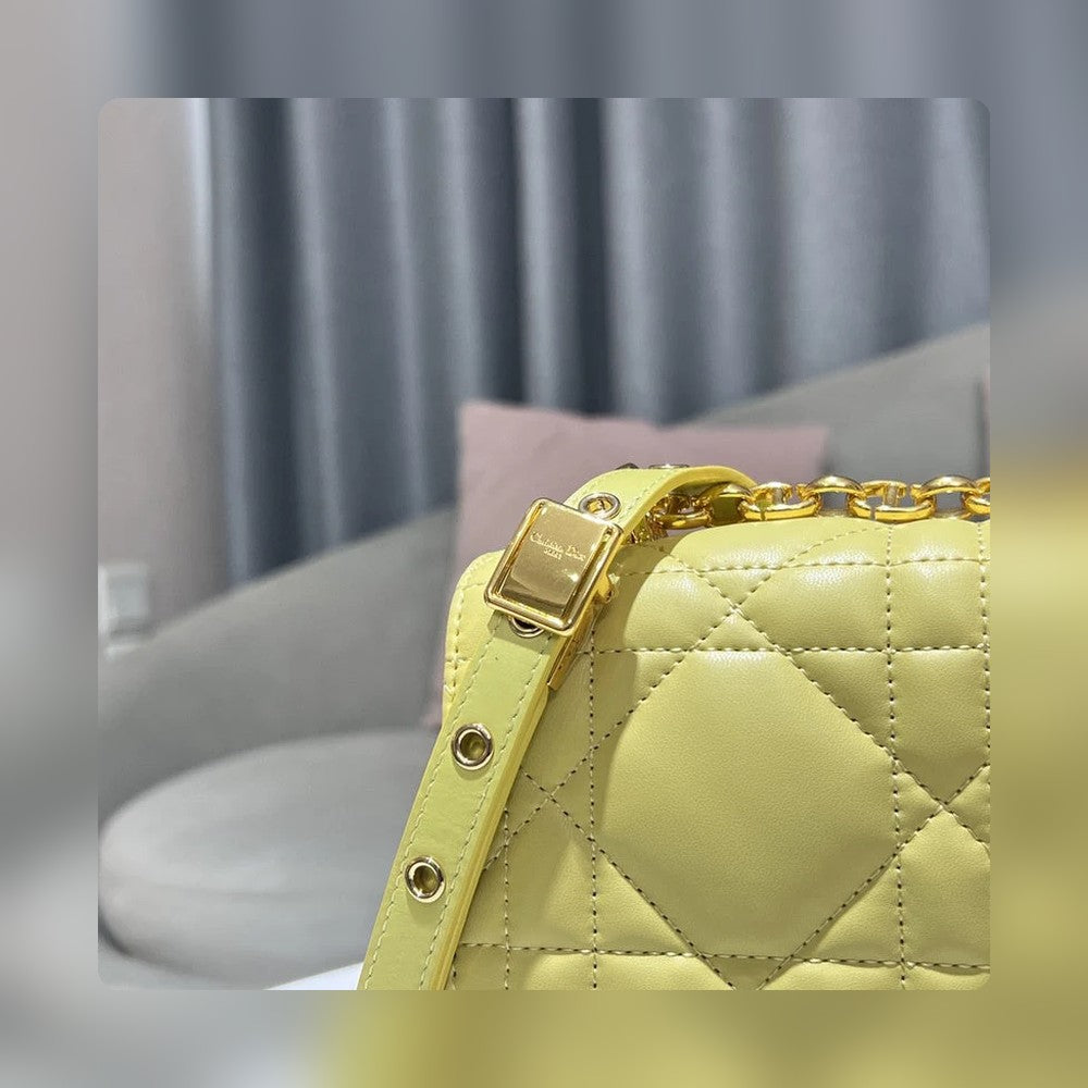 Anum Bags Detail