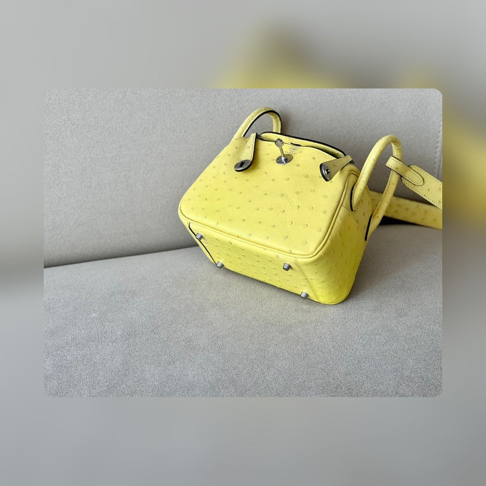 new-luxury-designer-bags-nm23885