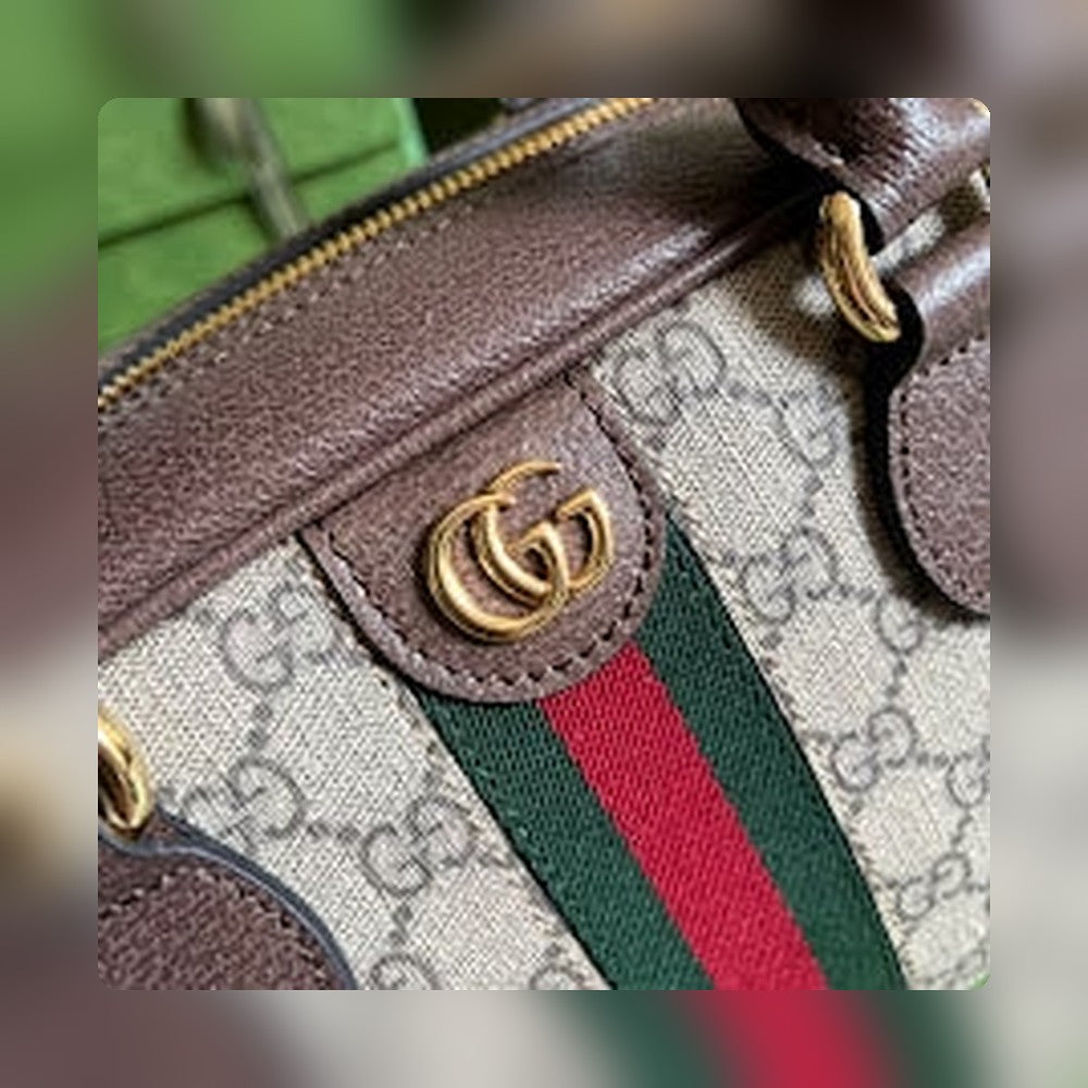 new-elite-designer-bags-nm8564