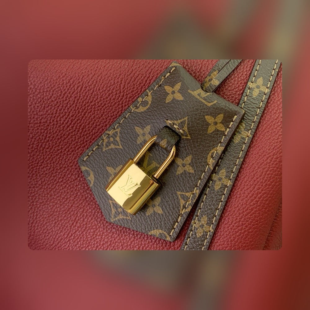 Anum Bags - Premium Luxury Goods and Accessories - AFFORDABLE LUXURY BAGS - 13341