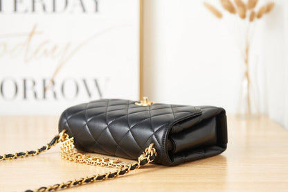 Anum Bags Bags - Bags - 2878