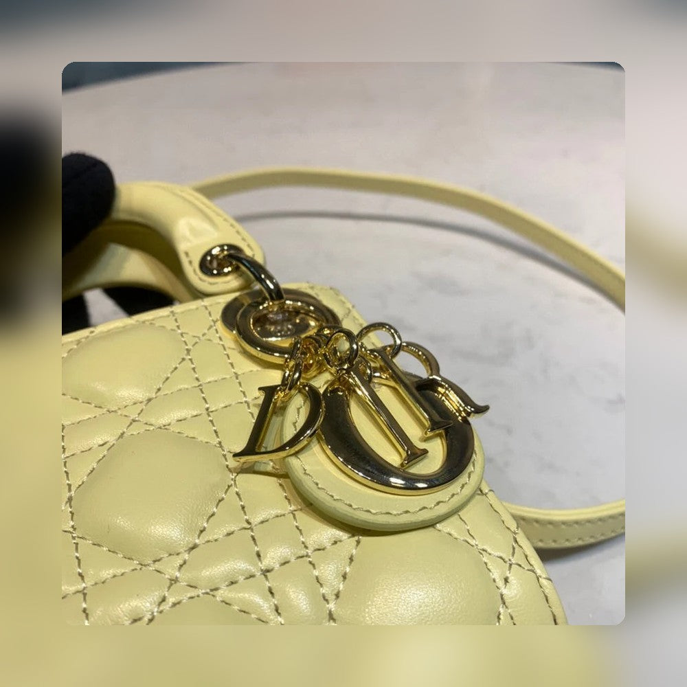 Anum Bags Detail