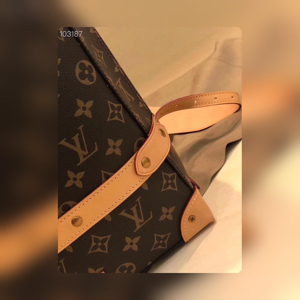 Anum Bags Detail
