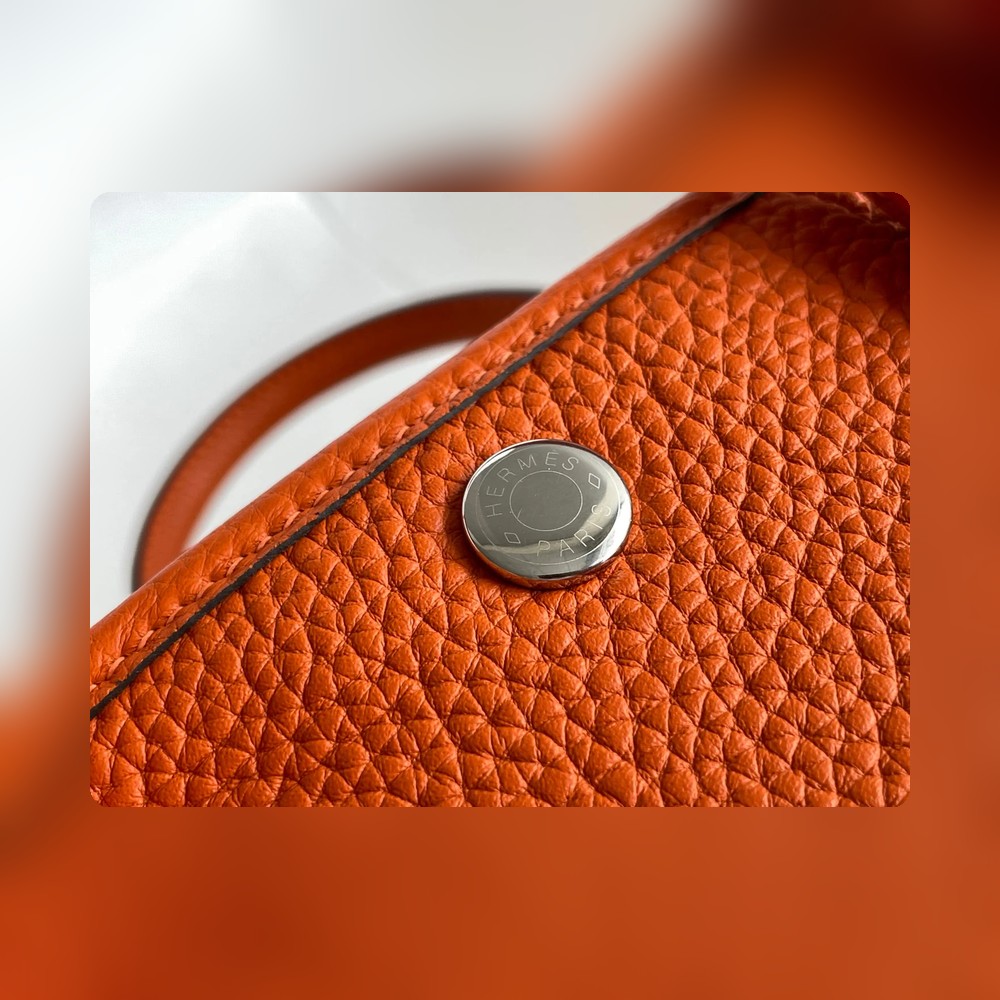 new-designer-premium-bags-nm23353