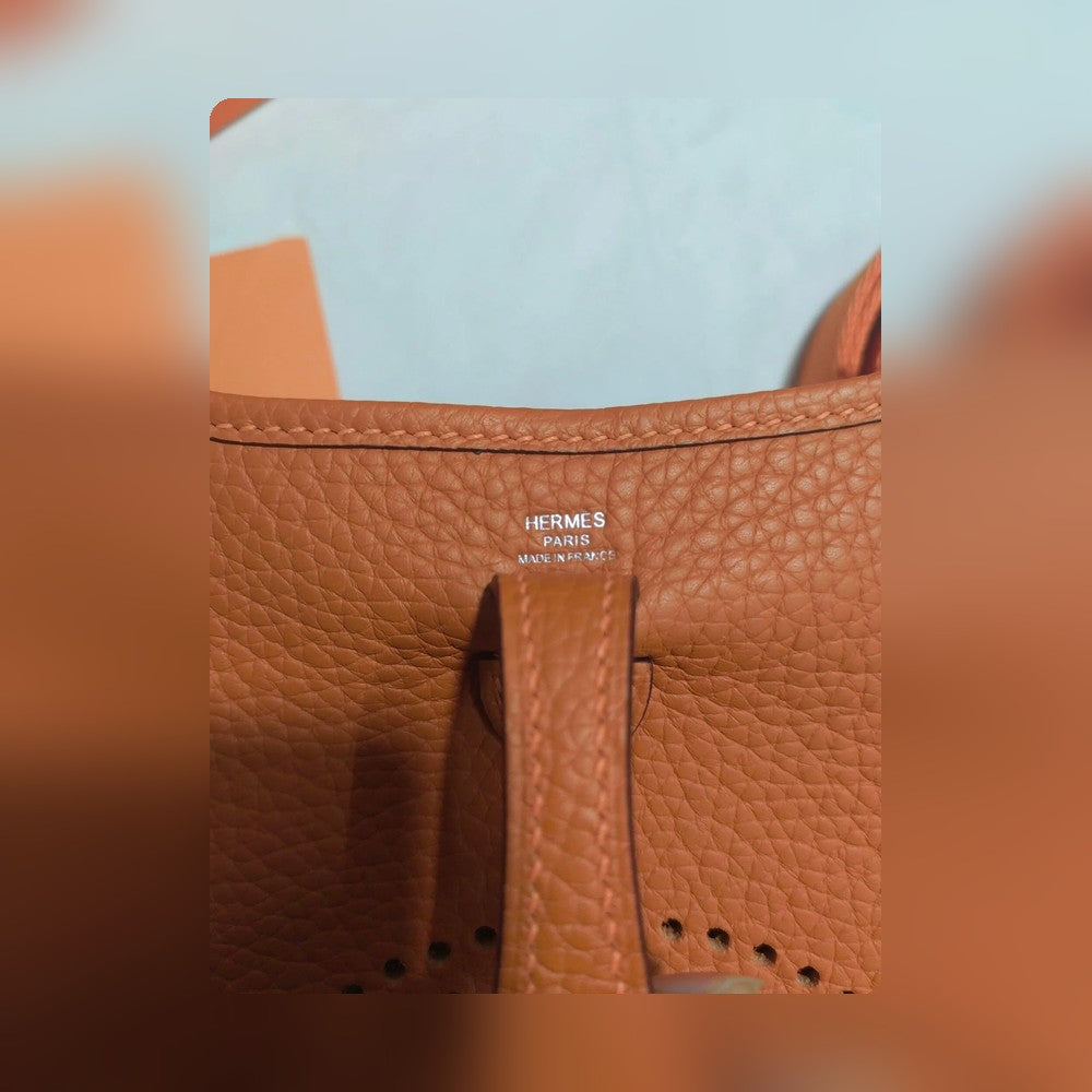 new-luxury-designer-bags-nm23024