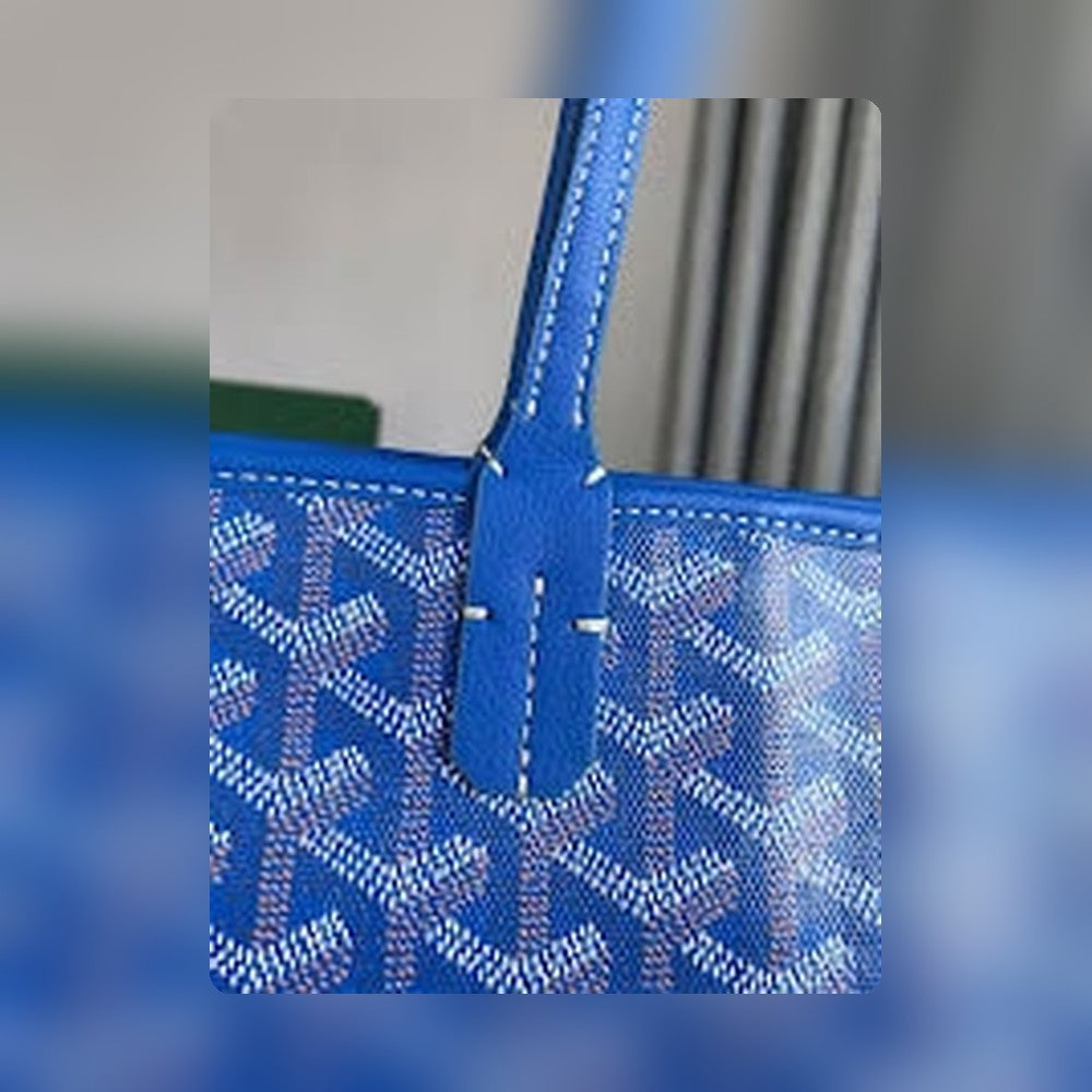 new-designer-premium-bags-nm8197