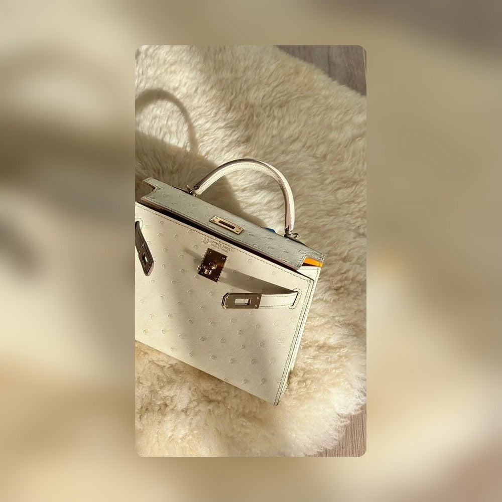 new-elite-designer-bags-nm23865