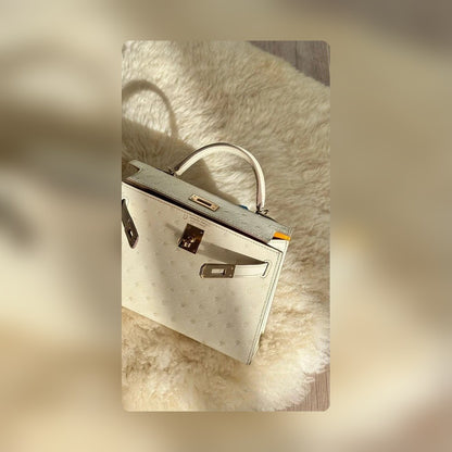 new-elite-designer-bags-nm23865