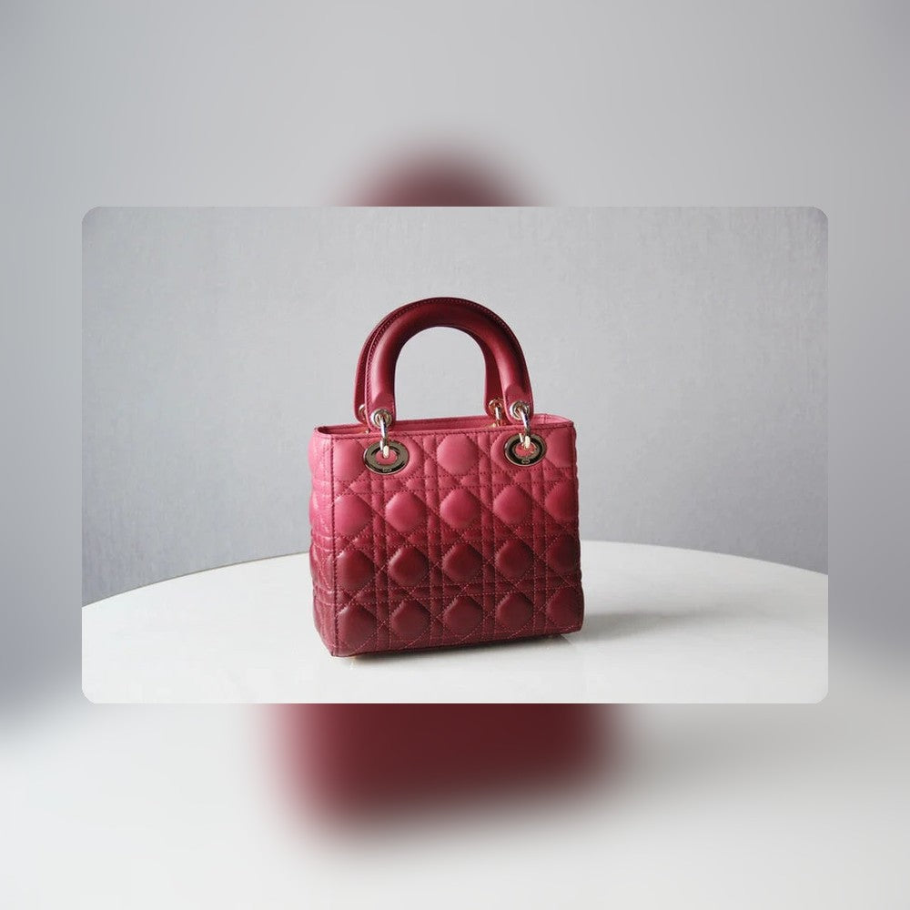 Anum Bags Detail