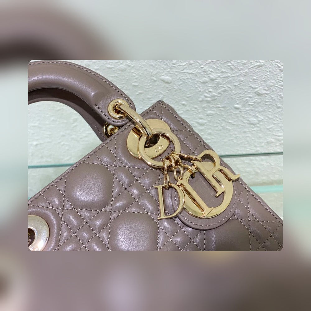 Anum Bags Detail