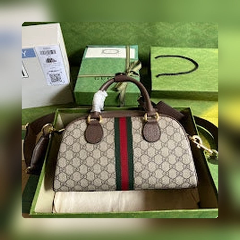 new-elite-designer-bags-nm8564