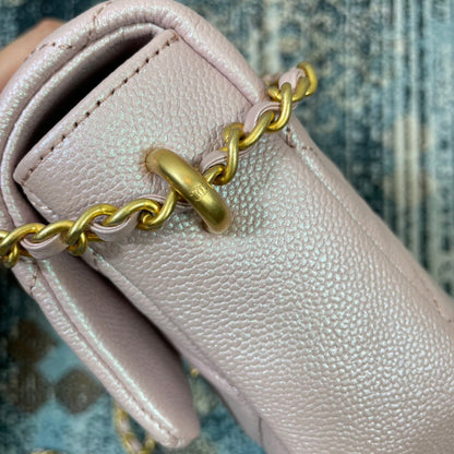 Anum Bags Detail