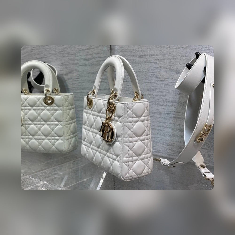 Anum Bags Detail