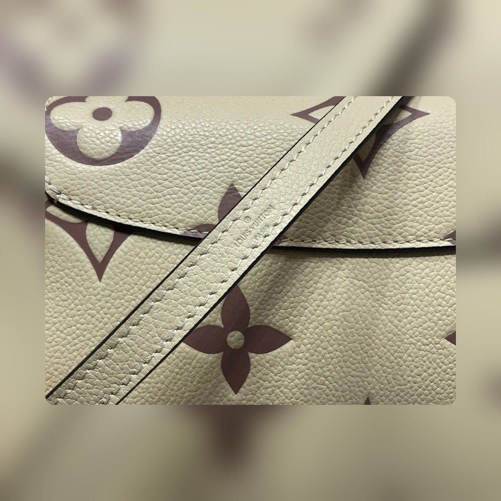 Anum Bags ln Luxury Bag --56393