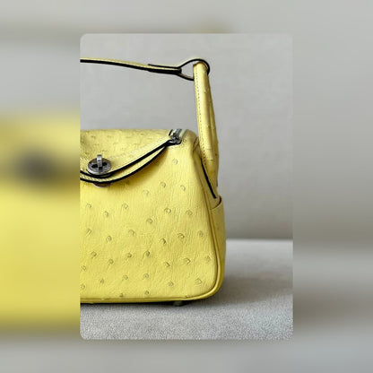 new-luxury-designer-bags-nm23885