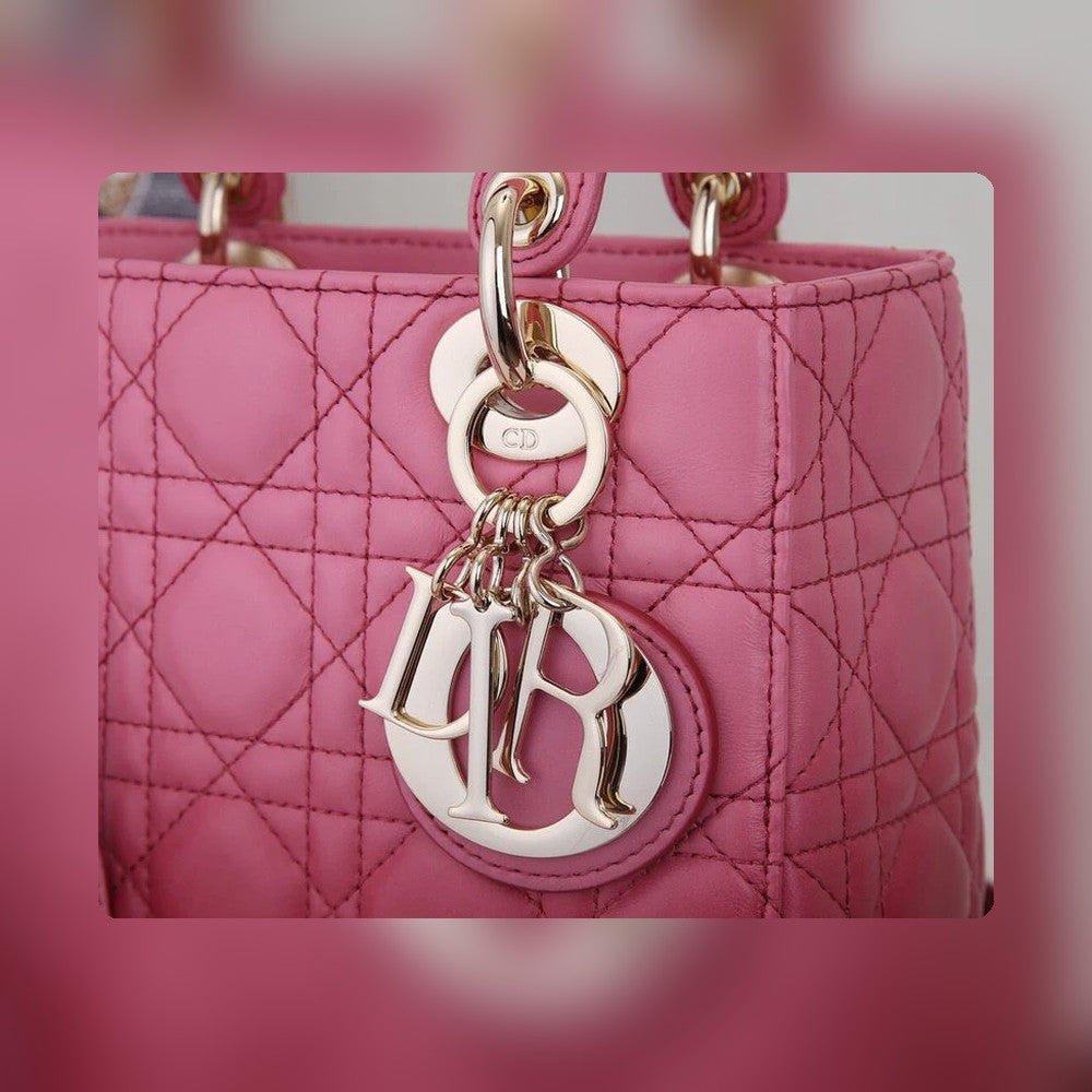 Anum Bags Detail