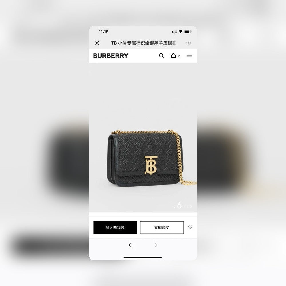 Anum Bags - Premium Luxury Goods and Accessories - AFFORDABLE LUXURY BAGS - 17261