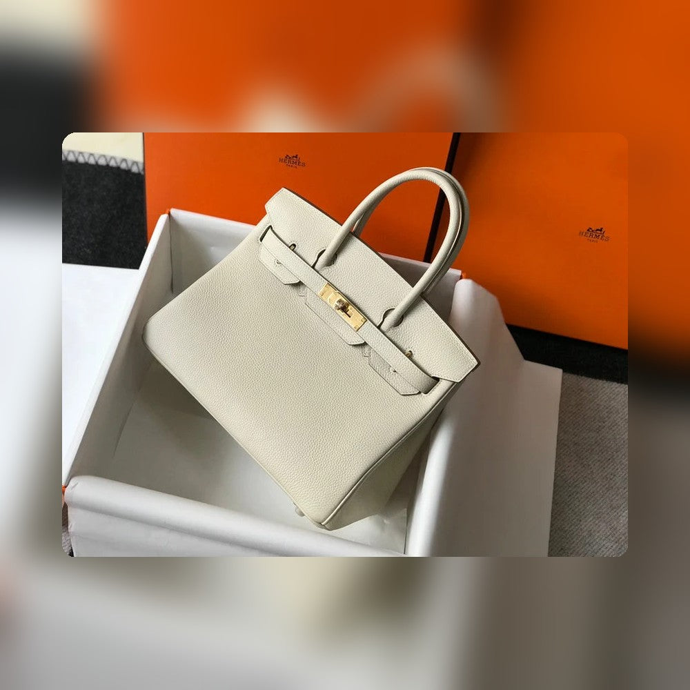 new-luxury-designer-bags-nm23798