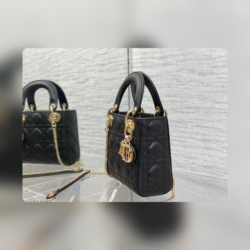 Anum Bags Detail