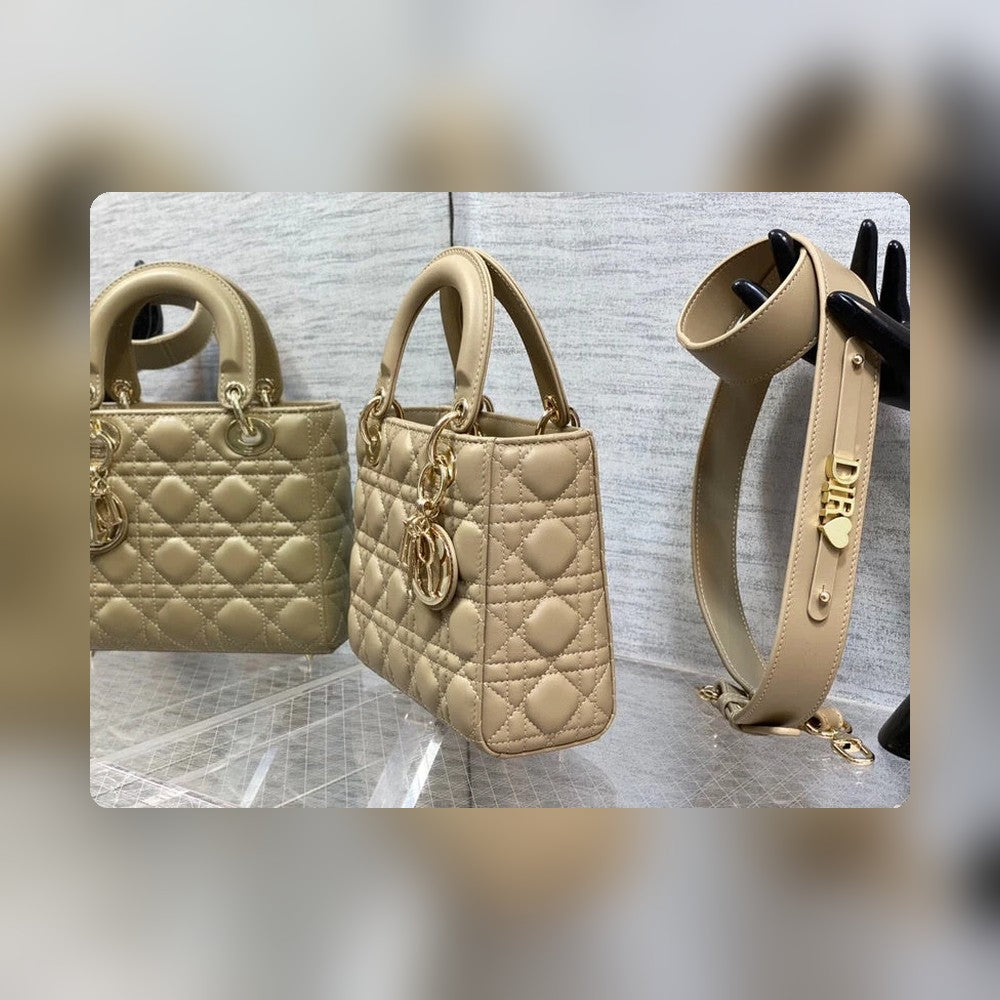 Anum Bags Detail