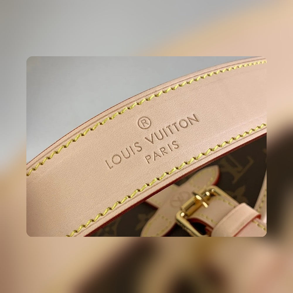 Anum Bags ln Luxury Bag --56403