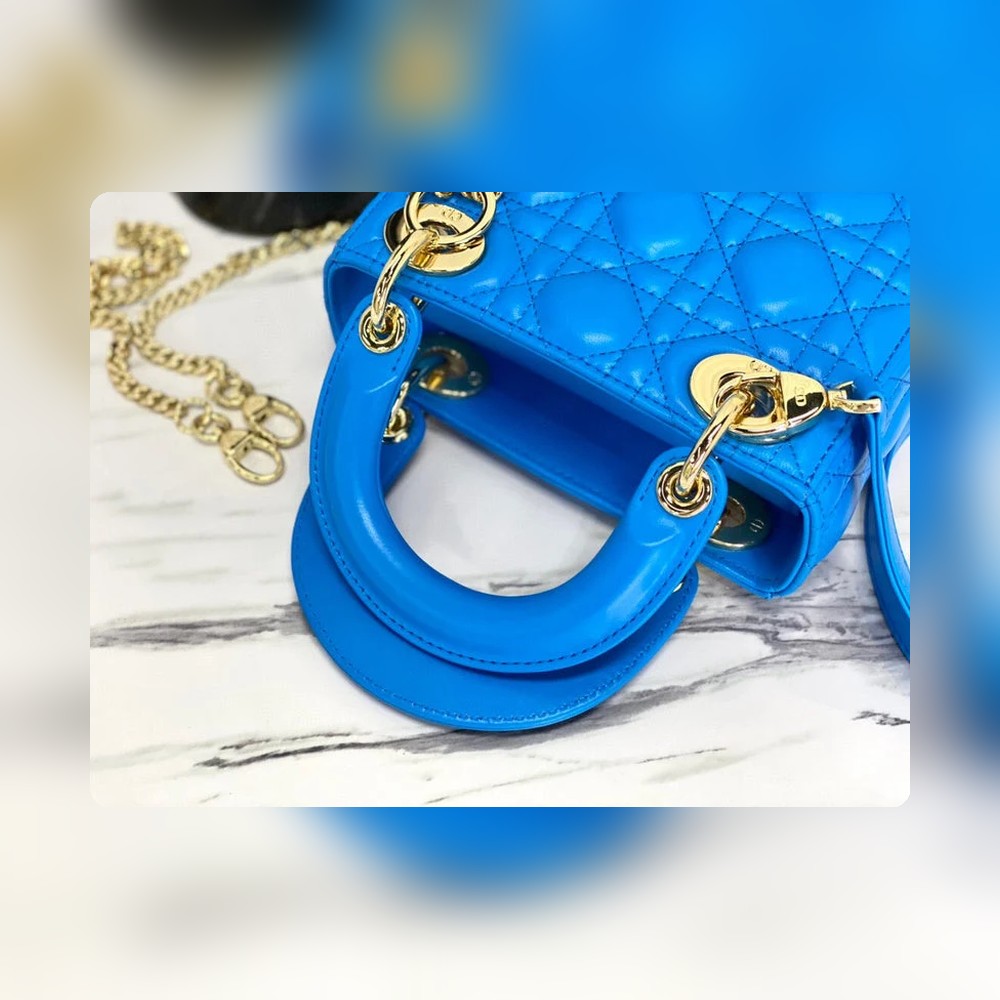 Anum Bags Detail