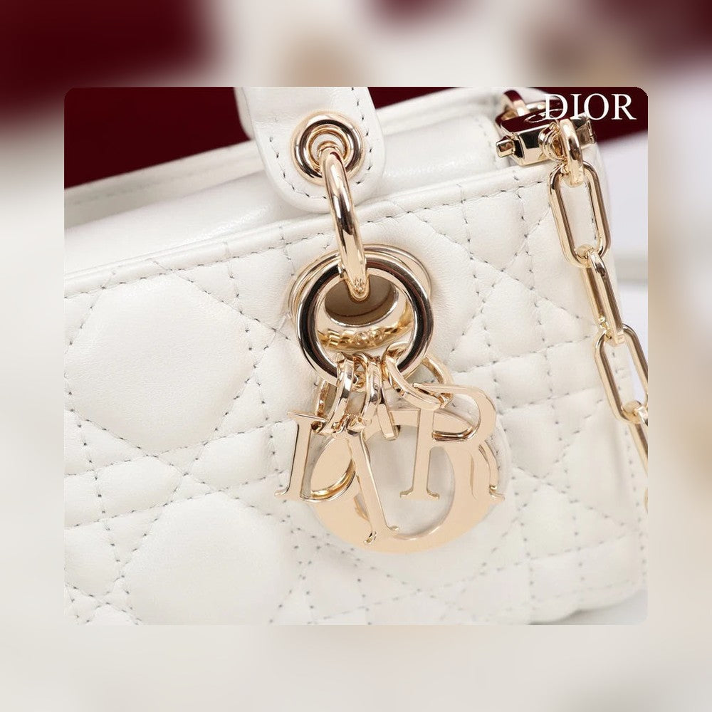 Anum Bags Detail