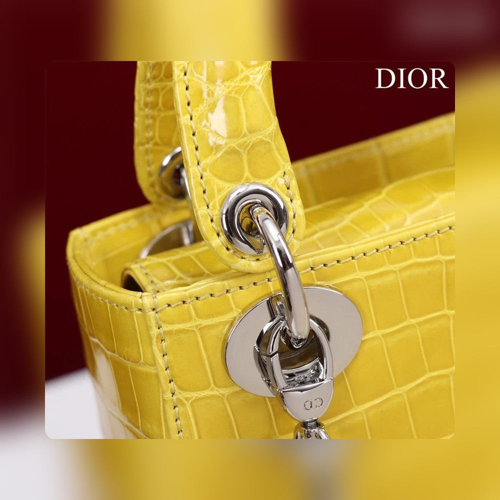 Anum Bags Detail
