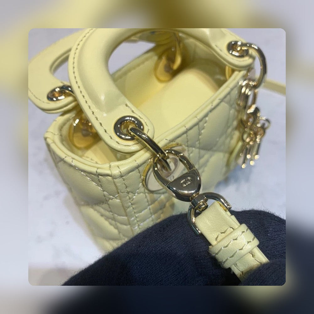 Anum Bags Detail