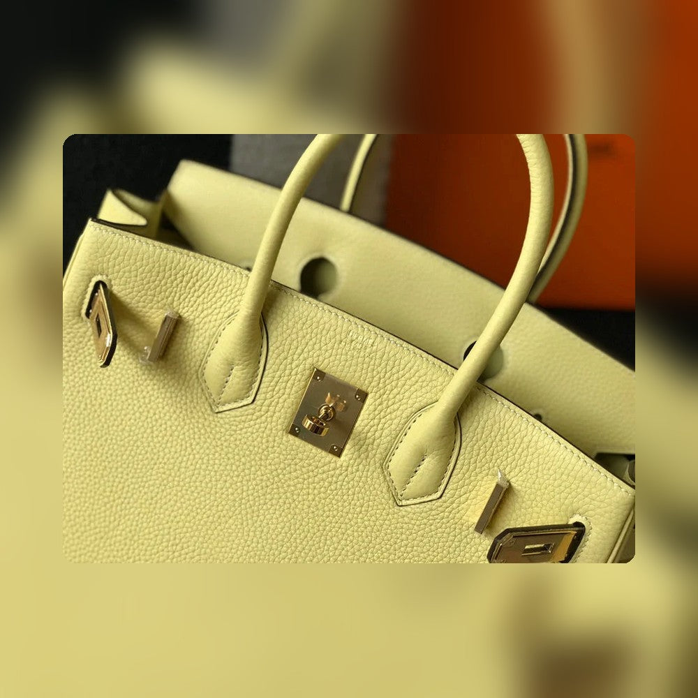 new-elite-designer-bags-nm23478