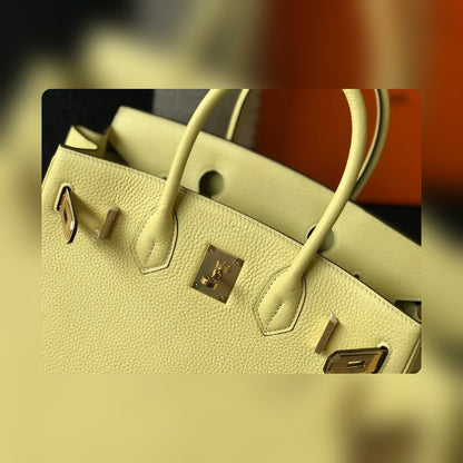 new-elite-designer-bags-nm23478