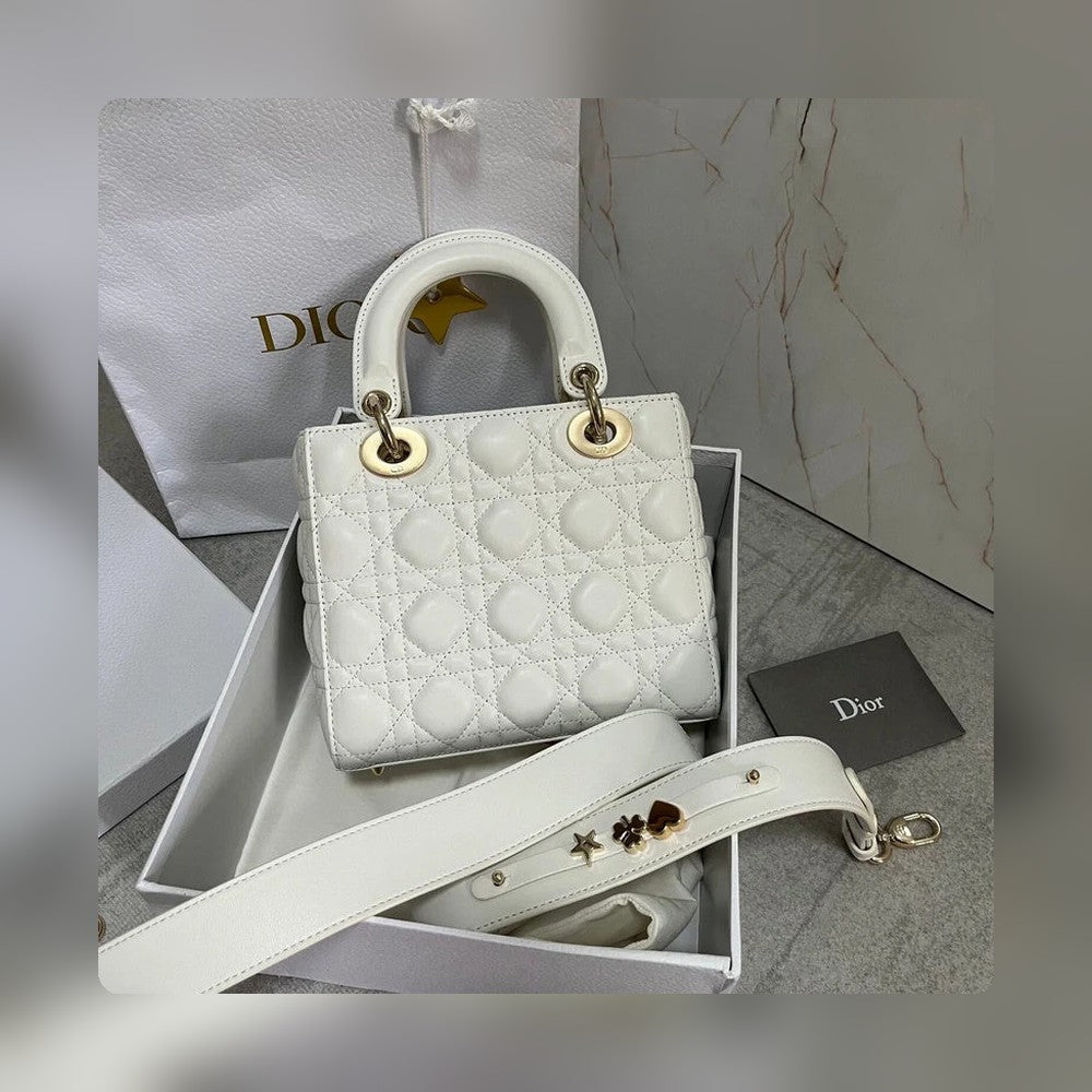 Anum Bags Detail