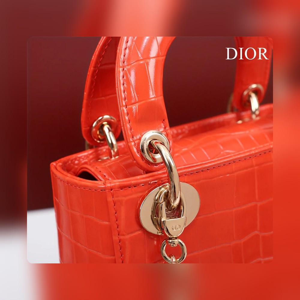 Anum Bags Detail
