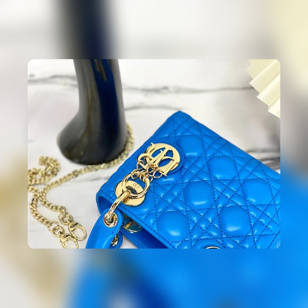 Anum Bags Detail