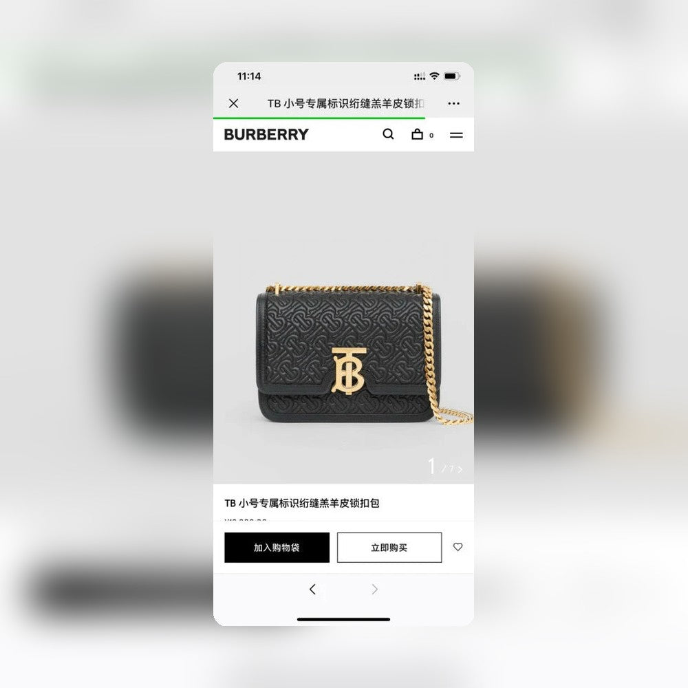 Anum Bags - Premium Luxury Goods and Accessories - AFFORDABLE LUXURY BAGS - 17261