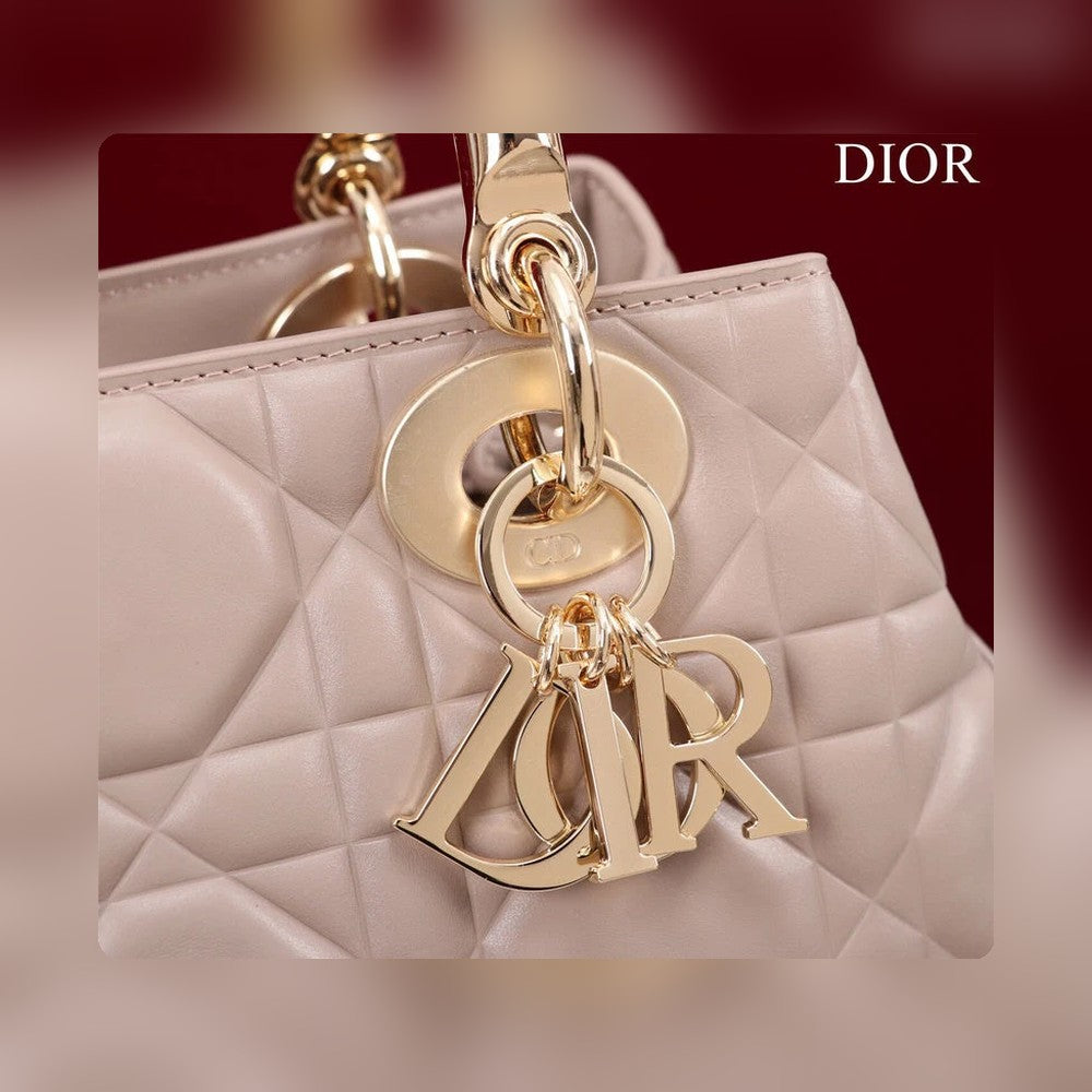 Anum Bags Detail