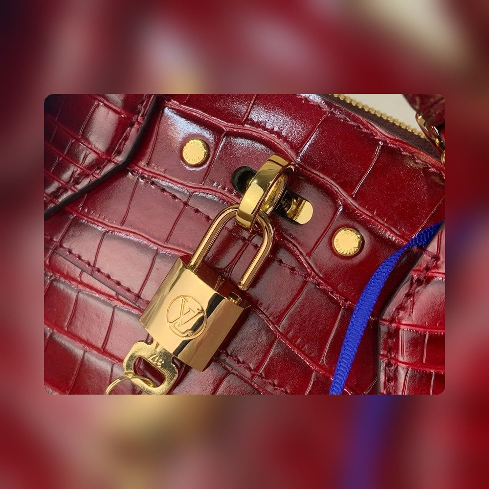 Anum Bags LV Luxury Bag --55937