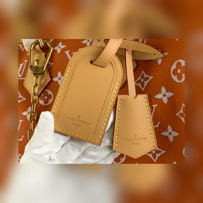 Anum Bags LV Luxury Bag --55906