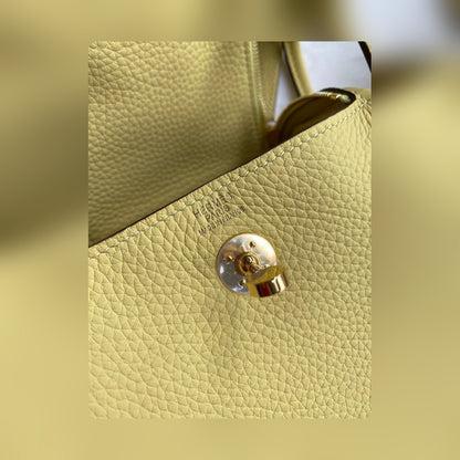 new-designer-premium-bags-nm23044