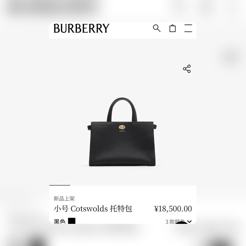 Anum Bags - Premium Luxury Goods and Accessories - AFFORDABLE LUXURY BAGS - 17253