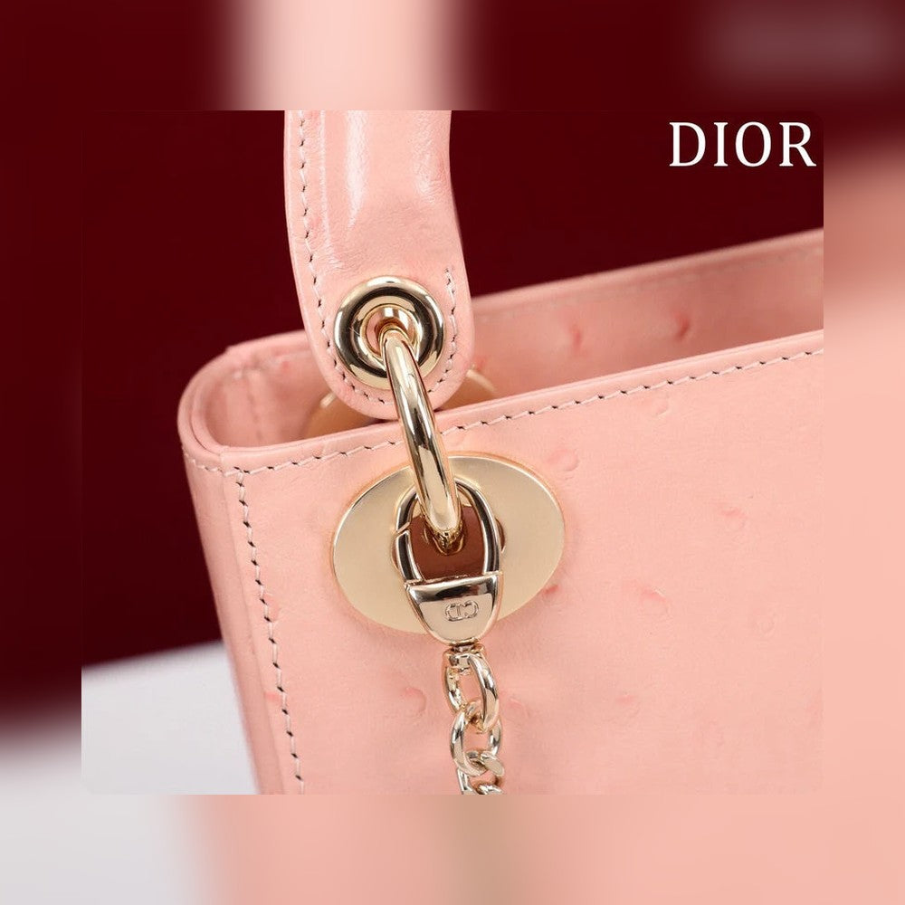 Anum Bags Detail
