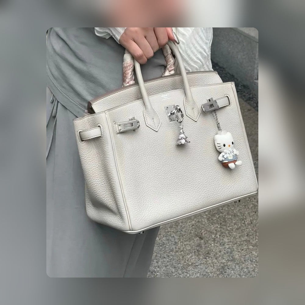 new-designer-premium-bags-nm23399