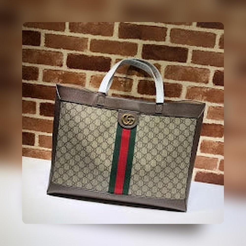 new-designer-premium-bags-nm8661